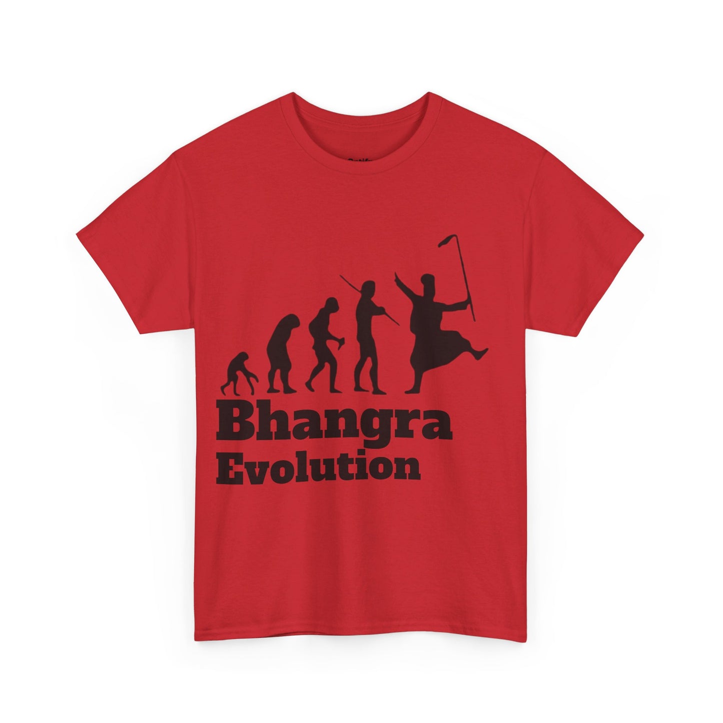 Bhangra Evolution T-shirt